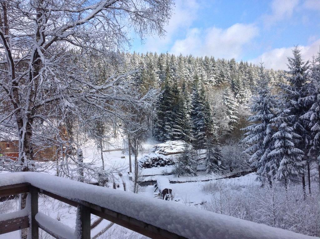 Fwv Chalet 2 Le Scandinave Bullange/Büllingen Esterno foto