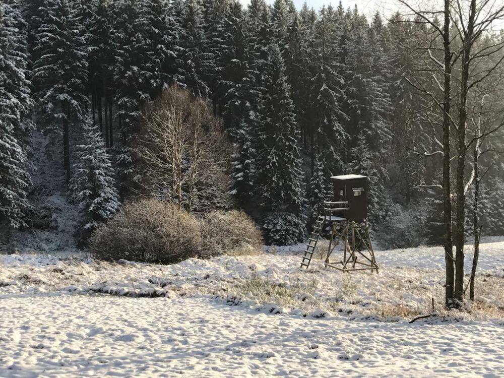 Fwv Chalet 2 Le Scandinave Bullange/Büllingen Esterno foto